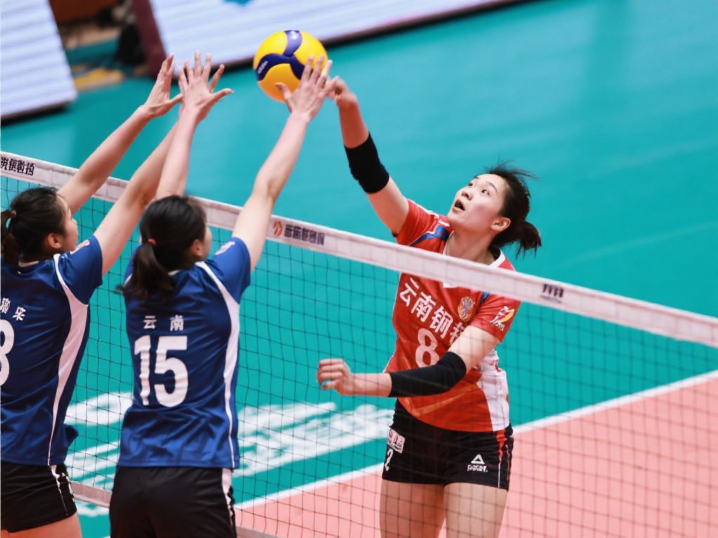 的资金查询 的资金查询